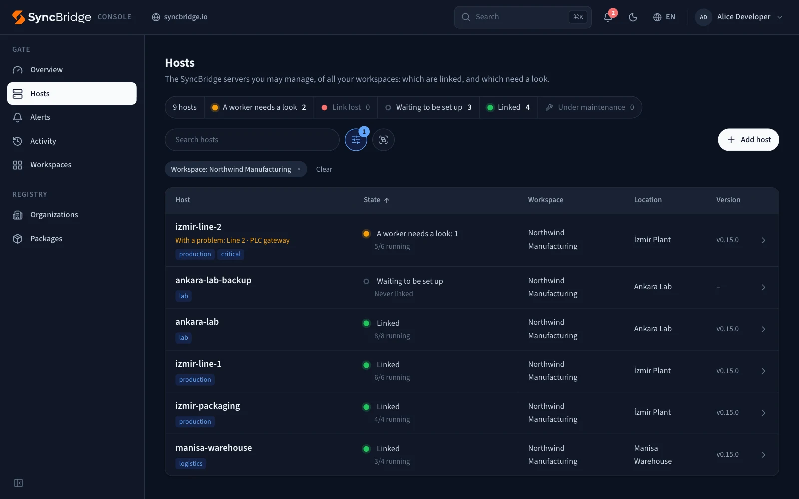 SyncBridge Console: the hosts of a workspace, linked or needing a look