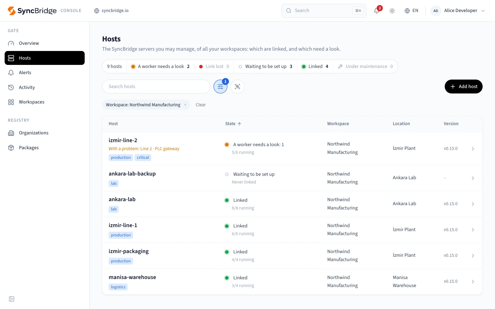 SyncBridge Console: the hosts of a workspace, linked or needing a look